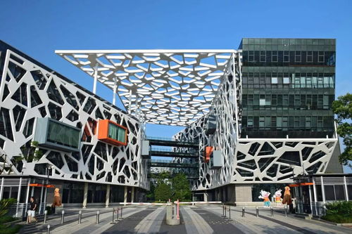 月下代碼 網(wǎng)絡(luò)技術(shù)開(kāi)發(fā)者的中秋堅(jiān)守與故事