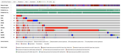 仁東醫(yī)療攜手海計(jì)系統(tǒng) 臨床科研助理軟件首發(fā)，一站式解決大數(shù)據(jù)難題